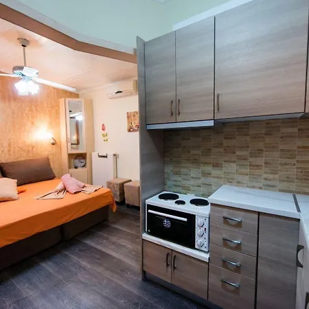 Dimitris & Apartment Frinion