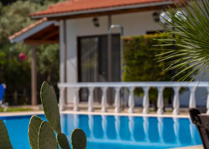 Apartament Dimitris & Frínion