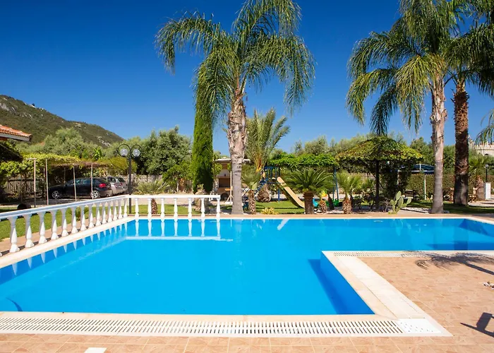 Dimitris & * Frinion